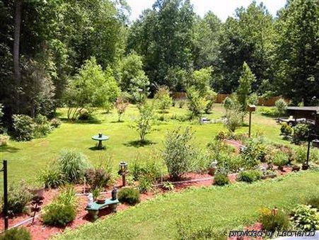 Rock Laurel Bed And Breakfast Candler Fasiliteter bilde