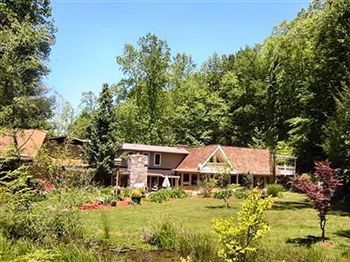 Rock Laurel Bed And Breakfast Candler Eksteriør bilde